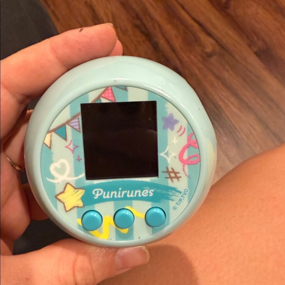 Punirunes Colorful Digital Pet Toy